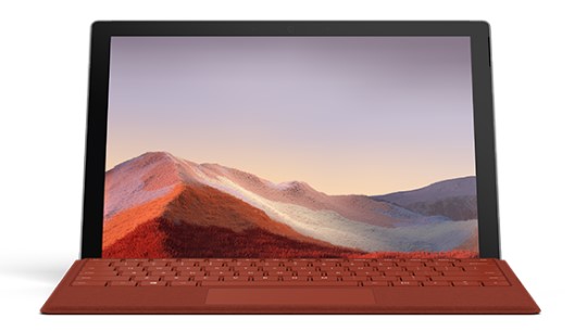牡丹清洁和维护 Surface
